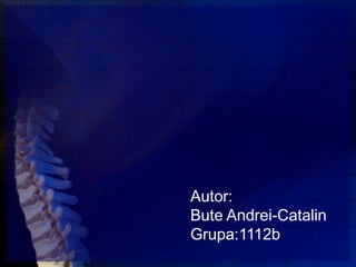 Autor:
Bute Andrei-Catalin
Grupa:1112b
 