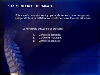 1.1.1. VERTEBRELE ADEVARATE


    Sub aceasta denumire s-au grupat acele vertebre care si-au pastrat
    independenta si mobilitatea: vertebrele cervicale, toracale si lombare.



          La vertebrele adevarate se studiaza:

                    1.   Caractere generale;
                    2.   Caractere regionale;
                    3.   Caractere speciale;
 