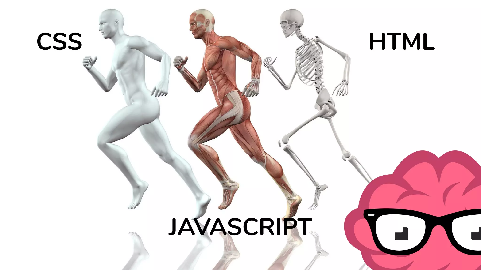 HTMLCSS
JAVASCRIPT