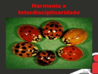 Harmonia x 
Interdisciplinaridade 
 