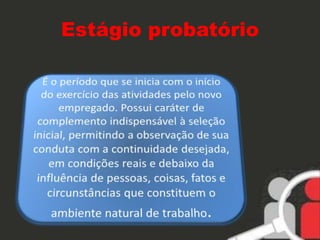 Estágio probatório 
 