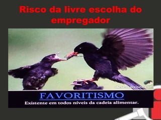 Risco da livre escolha do 
empregador 
 
