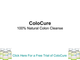 ColoCure 100% Natural Colon Cleanse Click Here For a Free Trial of  ColoCure 