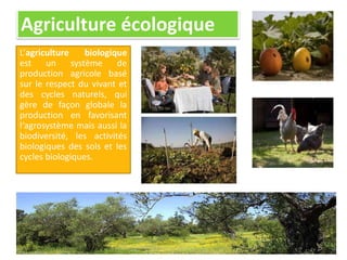 Agriculture écologique
L’agriculture biologique
est un système de
production agricole basé
sur le respect du vivant et
des cycles naturels, qui
gère de façon globale la
production en favorisant
l‘agrosystème mais aussi la
biodiversité, les activités
biologiques des sols et les
cycles biologiques.
 
