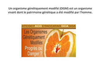 Un organisme génétiquement modifié (OGM) est un organisme
vivant dont le patrimoine génétique a été modifié par l'homme.
 