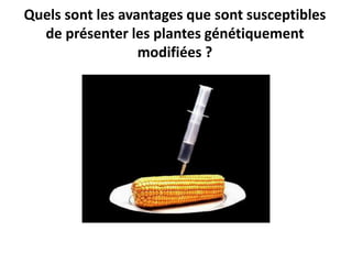 Quels sont les avantages que sont susceptibles
de présenter les plantes génétiquement
modifiées ?
 