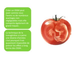 Créer un OGM peut
avoir comme nous
l’avons vu de nombreux
avantages non
négligeables mais elle
comporte également de
grand risques .
La technique de la
transgènèse a à peine
une dizaine d’années
c’est pourquoi il est
quasiment impossible de
prévoir les effets a long
terme des OGM.
 