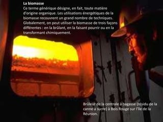 La biomasse
Ce terme générique désigne, en fait, toute matière
d'origine organique. Les utilisations énergétiques de la
biomasse recouvrent un grand nombre de techniques.
Globalement, on peut utiliser la biomasse de trois façons
différentes : en la brûlant, en la faisant pourrir ou en la
transformant chimiquement.
Brûleur de la centrale à bagasse (résidu de la
canne à sucre) à Bois Rouge sur l'île de la
Réunion.
 