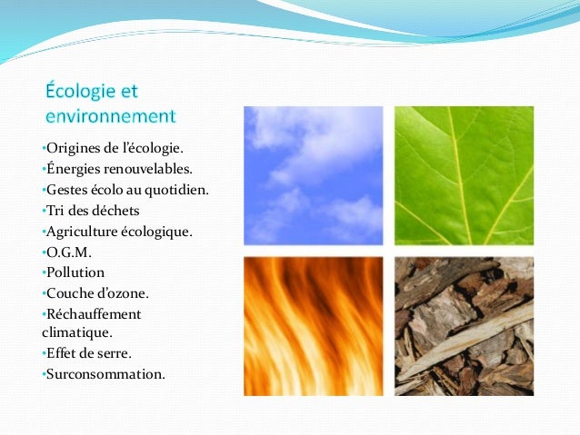 Ecologie et environnement - PDF