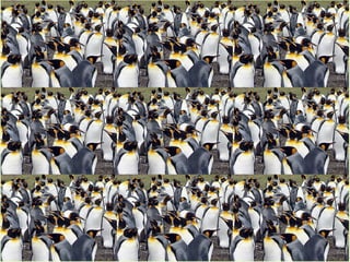 How w-ld we

choose anyway?
 