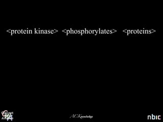 <protein kinase> <phosphorylates> <proteins>




                  ACKnowledge
 