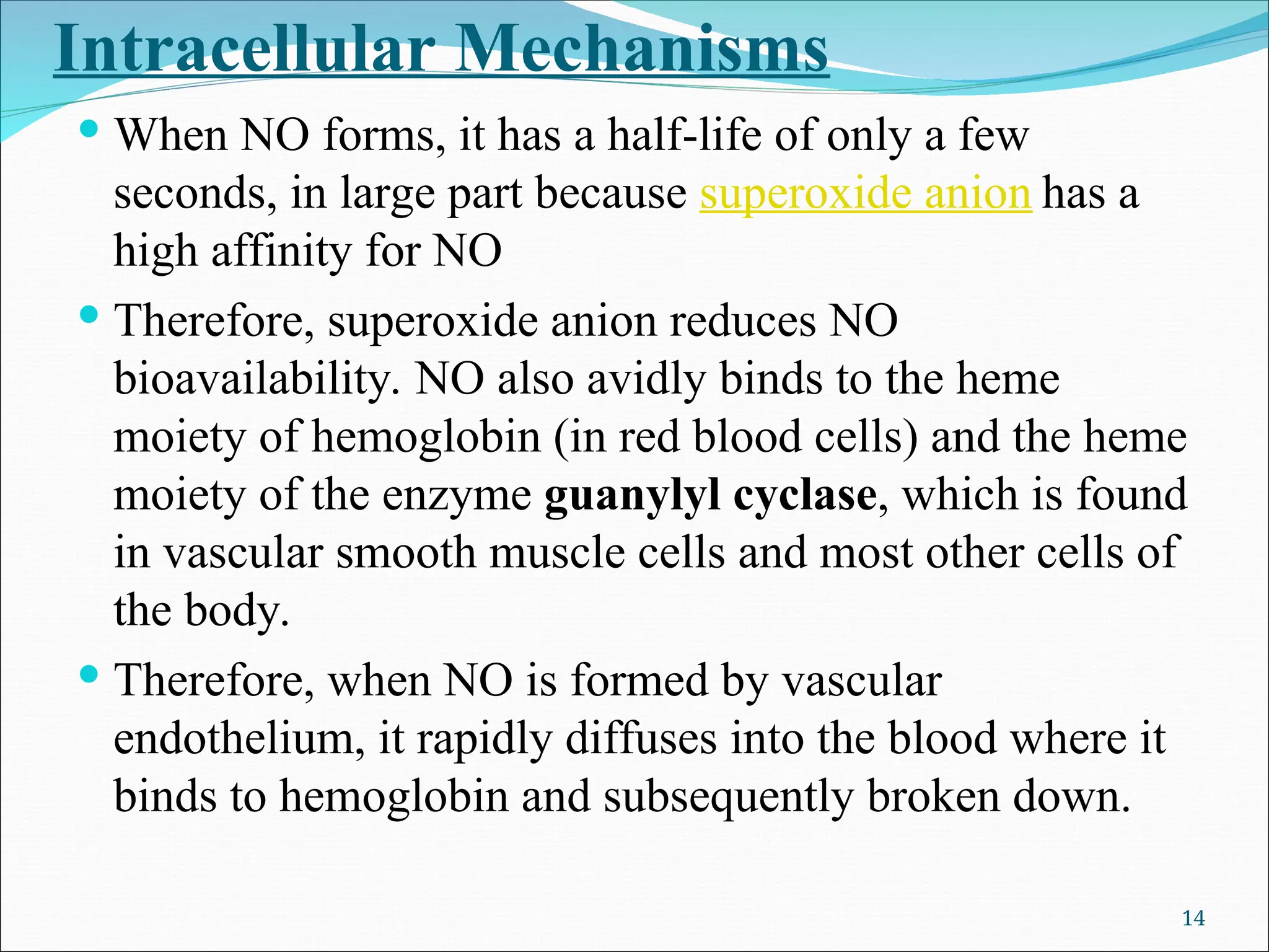 Intracellular Mechanisms
 When NO forms, it has a half-life of only a few
seconds, in large part because superoxide anion has a
high affinity for NO
 Therefore, superoxide anion reduces NO
bioavailability. NO also avidly binds to the heme
moiety of hemoglobin (in red blood cells) and the heme
moiety of the enzyme guanylyl cyclase, which is found
in vascular smooth muscle cells and most other cells of
the body.
 Therefore, when NO is formed by vascular
endothelium, it rapidly diffuses into the blood where it
binds to hemoglobin and subsequently broken down.
14
 