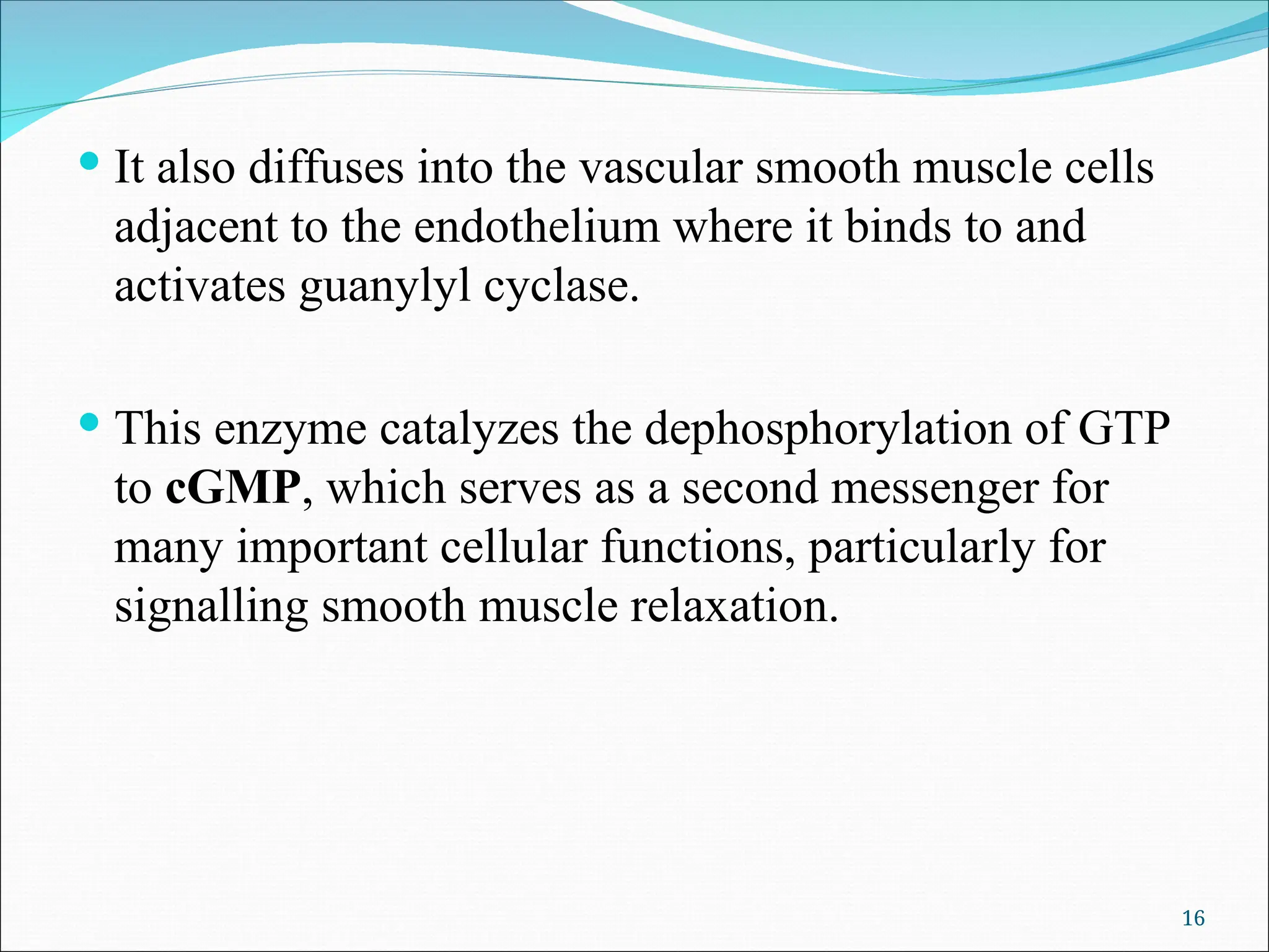  It also diffuses into the vascular smooth muscle cells
adjacent to the endothelium where it binds to and
activates guanylyl cyclase.
 This enzyme catalyzes the dephosphorylation of GTP
to cGMP, which serves as a second messenger for
many important cellular functions, particularly for
signalling smooth muscle relaxation.
16
 