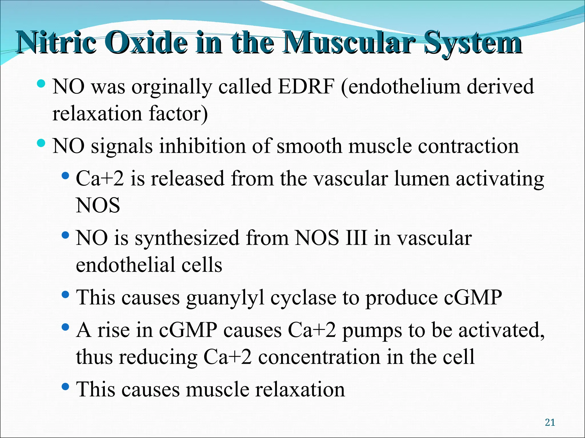 Nitric Oxide in the Muscular System
Nitric Oxide in the Muscular System
 NO was orginally called EDRF (endothelium derived
relaxation factor)
 NO signals inhibition of smooth muscle contraction
 Ca+2 is released from the vascular lumen activating
NOS
 NO is synthesized from NOS III in vascular
endothelial cells
 This causes guanylyl cyclase to produce cGMP
 A rise in cGMP causes Ca+2 pumps to be activated,
thus reducing Ca+2 concentration in the cell
 This causes muscle relaxation
21
 