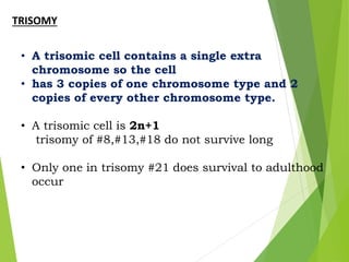 TRISOMY
• A trisomic cell contains a single extra
chromosome so the cell
• has 3 copies of one chromosome type and 2
copies of every other chromosome type.
• A trisomic cell is 2n+1
trisomy of #8,#13,#18 do not survive long
• Only one in trisomy #21 does survival to adulthood
occur
 