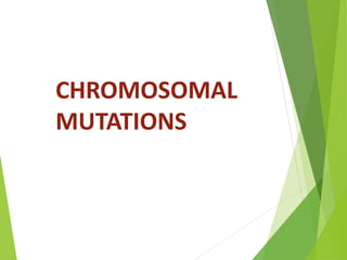CHROMOSOMAL
MUTATIONS
 