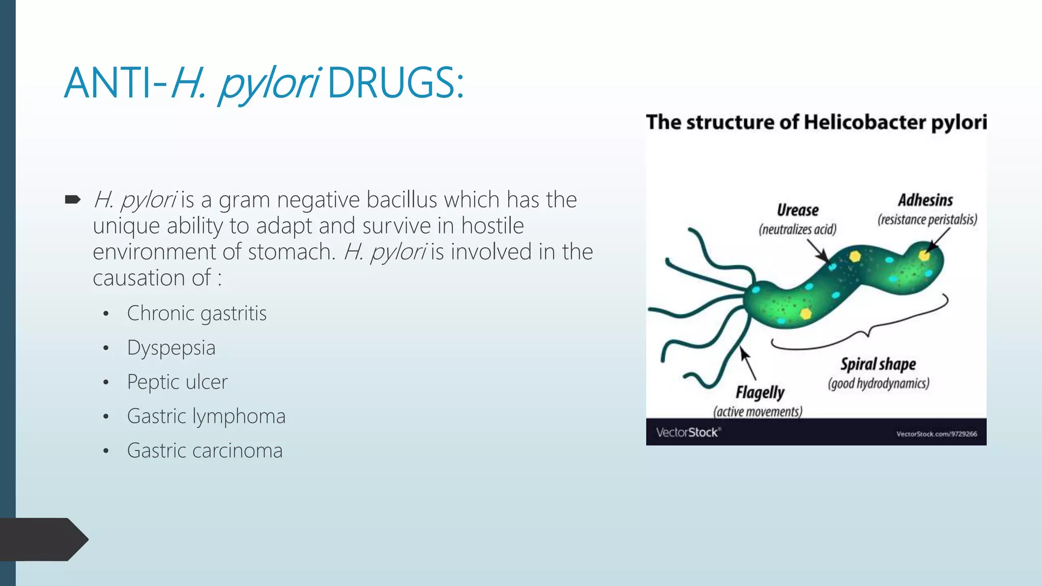 Antacids and antiulcer drugs | PPTX