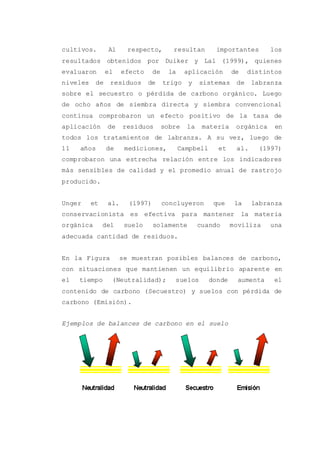 cultivos. Al respecto, resultan importantes los
resultados obtenidos por Duiker y Lal (1999), quienes
evaluaron el efecto de la aplicación de distintos
niveles de residuos de trigo y sistemas de labranza
sobre el secuestro o pérdida de carbono orgánico. Luego
de ocho años de siembra directa y siembra convencional
continua comprobaron un efecto positivo de la tasa de
aplicación de residuos sobre la materia orgánica en
todos los tratamientos de labranza. A su vez, luego de
11 años de mediciones, Campbell et al. (1997)
comprobaron una estrecha relación entre los indicadores
más sensibles de calidad y el promedio anual de rastrojo
producido.
Unger et al. (1997) concluyeron que la labranza
conservacionista es efectiva para mantener la materia
orgánica del suelo solamente cuando moviliza una
adecuada cantidad de residuos.
En la Figura se muestran posibles balances de carbono,
con situaciones que mantienen un equilibrio aparente en
el tiempo (Neutralidad); suelos donde aumenta el
contenido de carbono (Secuestro) y suelos con pérdida de
carbono (Emisión).
Ejemplos de balances de carbono en el suelo
 