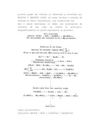proceso puede ser similar al observado y estudiado por
WHITTIG Y JANITZKY (1963) en zonas vecinas a canales de
drenaje en Davis (California). Las condiciones son
más o menos similares, al haber una acumulación de
sulfatos de Na, como se señaló al principio.
Esquemáticamente se puede representar el proceso:
Suelo salino-sódico
(Solución: Na2SO4 > NaCI > Ca(HCO3)2 + Mg(HC03)2)
 