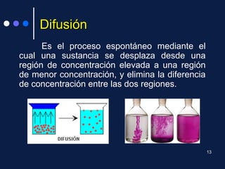 DifusiónDifusión
Es el proceso espontáneo mediante el
cual una sustancia se desplaza desde una
región de concentración elevada a una región
de menor concentración, y elimina la diferencia
de concentración entre las dos regiones.
13
 