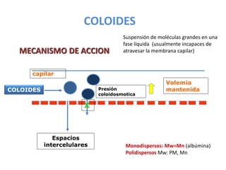 COLOIDES
Presión
coloidosmotica
X
capilar
Volemia
mantenida
Espacios
intercelulares
COLOIDES
MECANISMO DE ACCION
Suspensión de moléculas grandes en una
fase líquida (usualmente incapaces de
atravesar la membrana capilar)
Monodispersos: Mw=Mn (albúmina)
Polidispersos Mw: PM, Mn
 