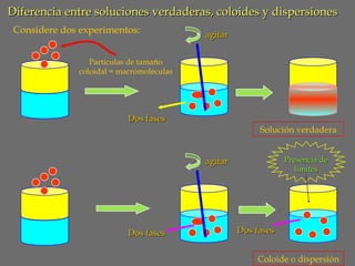 Diferencia entre soluciones verdaderas, coloides y dispersiones
Considere dos experimentos:

agitar

Partículas de tamaño
coloidal = macromoléculas

Dos fases

Solución verdadera
Presencia de
límites

agitar

Dos fases

Dos fases
Coloide o dispersión

 