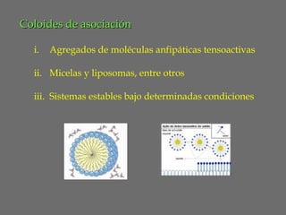 Coloides de asociación
i.

Agregados de moléculas anfipáticas tensoactivas

ii. Micelas y liposomas, entre otros
iii. Sistemas estables bajo determinadas condiciones

 