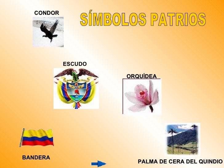 Resultado de imagen para simbolos patrios de colombia palma de cera