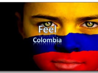 Feel Colombia 