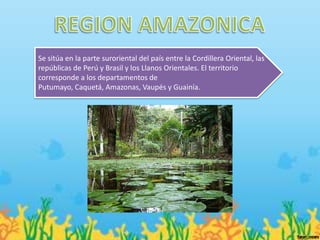 Se sitúa en la parte suroriental del país entre la Cordillera Oriental, las
repúblicas de Perú y Brasil y los Llanos Orientales. El territorio
corresponde a los departamentos de
Putumayo, Caquetá, Amazonas, Vaupés y Guainía.
 