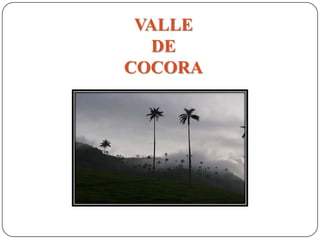 VALLE
DE
COCORA