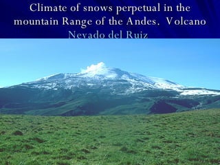 Climate of snows perpetual in the mountain Range of the Andes.  Volcano  Nevado  del Ruiz   