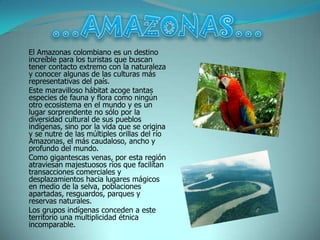 El Amazonas colombiano es un destino
increíble para los turistas que buscan
tener contacto extremo con la naturaleza
y conocer algunas de las culturas más
representativas del país.
Este maravilloso hábitat acoge tantas
especies de fauna y flora como ningún
otro ecosistema en el mundo y es un
lugar sorprendente no sólo por la
diversidad cultural de sus pueblos
indígenas, sino por la vida que se origina
y se nutre de las múltiples orillas del río
Amazonas, el más caudaloso, ancho y
profundo del mundo.
Como gigantescas venas, por esta región
atraviesan majestuosos ríos que facilitan
transacciones comerciales y
desplazamientos hacia lugares mágicos
en medio de la selva, poblaciones
apartadas, resguardos, parques y
reservas naturales.
Los grupos indígenas conceden a este
territorio una multiplicidad étnica
incomparable.
 