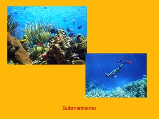 Submarinismo
 