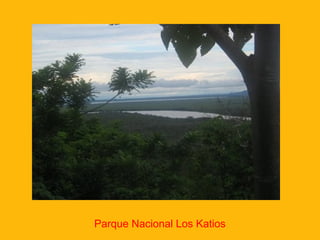 Parque Nacional Los Katios
 
