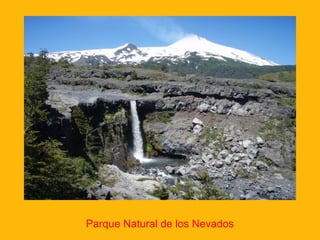 Parque Natural de los Nevados
 