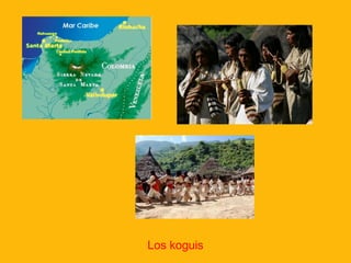 Los koguis
 
