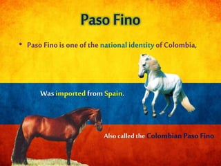 • Paso Finois one of the nationalidentity of Colombia,
 