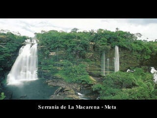 Serranía de La Macarena - Meta 