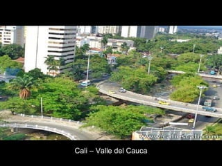 Cali – Valle del Cauca 
