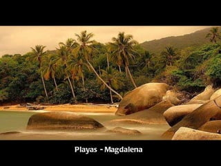 Playas - Magdalena 
