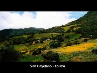 San Cayetano - Tolima 