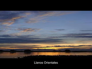 Llanos Orientales 