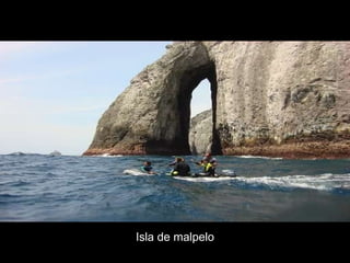 Isla de malpelo 