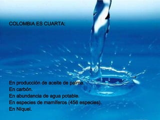COLOMBIA ES CUARTA: En producción de aceite de palma. En carbón. En abundancia de agua potable. En especies de mamíferos (456 especies). En Níquel.   