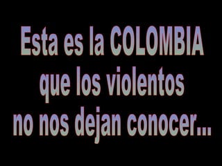 Esta es la COLOMBIA que los violentos no nos dejan conocer... 