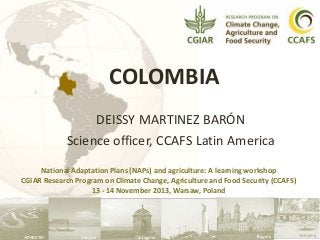 COLOMBIA
DEISSY MARTINEZ BARÓN
Science officer, CCAFS Latin America
National Adaptation Plans (NAPs) and agriculture: A learning workshop
CGIAR Research Program on Climate Change, Agriculture and Food Security (CCAFS)
13 - 14 November 2013, Warsaw, Poland

 