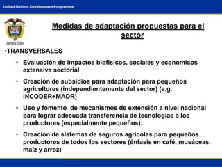 Opportunities for Adaptation to Climate Change in COlombia