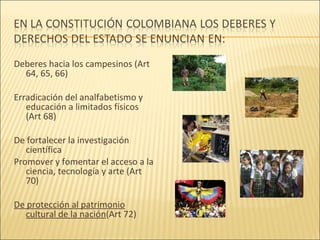 Colombia, Derechos Humanos Y Estado Social De Derecho