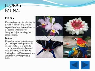 FLORA Y 
FAUNA. 
Flora. 
Colombia presenta biomas de 
páramo, selva del pacifico 
vegetación herbácea arbustiva 
de cerros amazónicos, 
bosques bajos y catingales 
amazónicos. 
Fauna. 
Colombia posee entre 40.000 y 
90.000 especies de plantas, lo 
que equivale al 10 ó 20% del 
total de especies de plantas a 
nivel mundial, considerado 
África al sur del Sáhara contiene 
cerca de 30.000 especies, y 
Brasil 
 